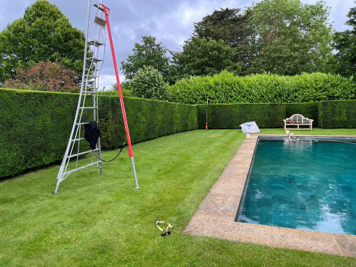 Wilshire Tree Services Patio 14 Medium